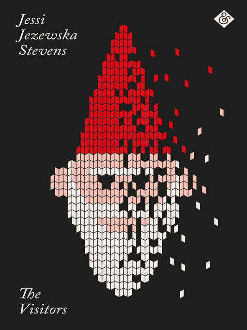 Cover image for The Visitors